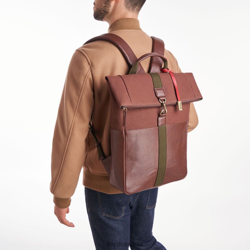 Backpack LLOYD Men brown R084ZF650 Accessories