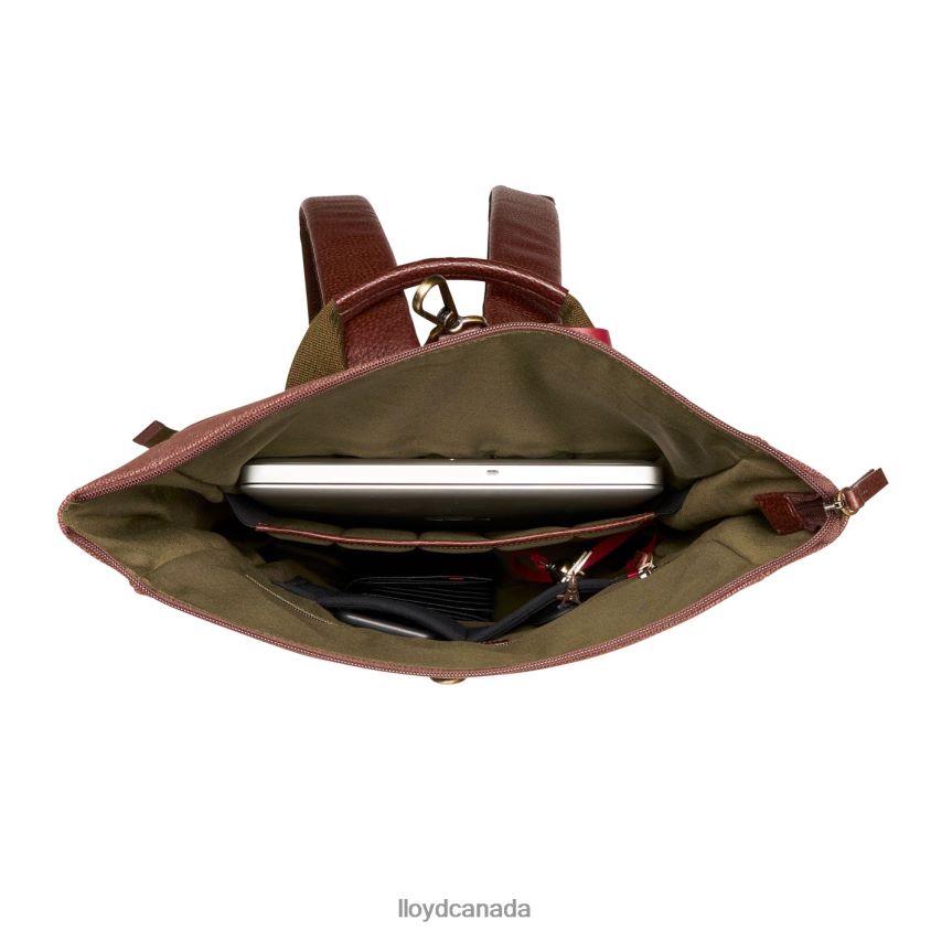 Backpack LLOYD Men brown R084ZF650 Accessories