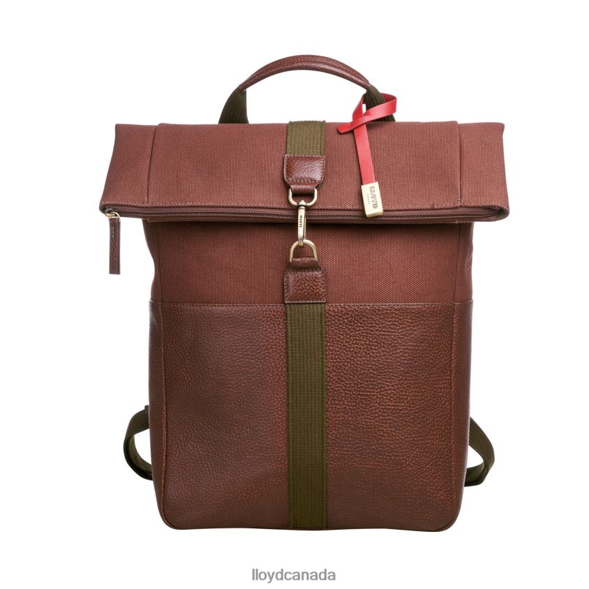 Backpack LLOYD Men brown R084ZF650 Accessories