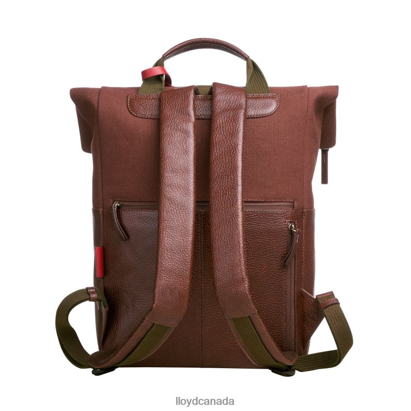 Backpack LLOYD Men brown R084ZF650 Accessories