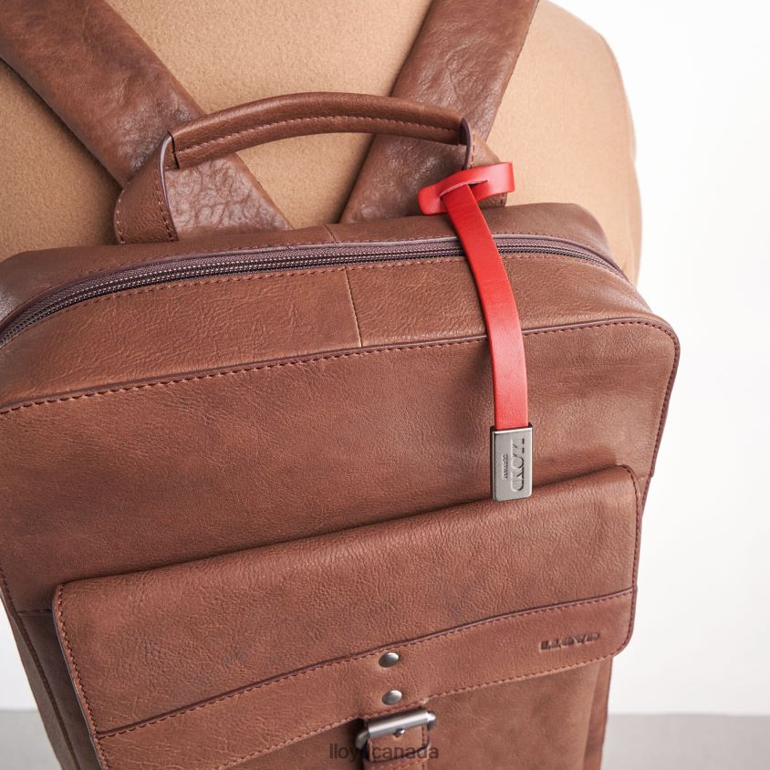Backpack LLOYD Men brown R084ZF651 Accessories