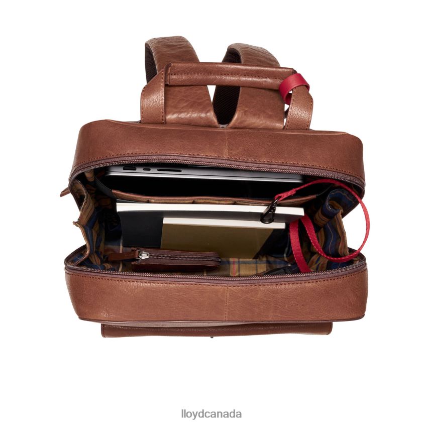 Backpack LLOYD Men brown R084ZF651 Accessories