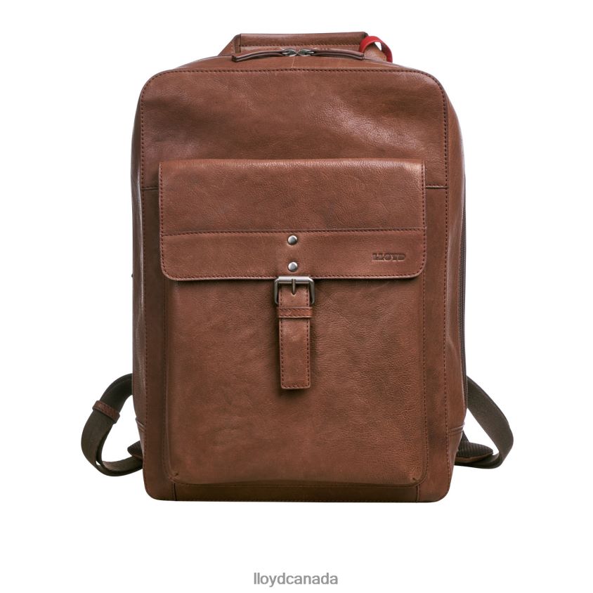 Backpack LLOYD Men brown R084ZF651 Accessories