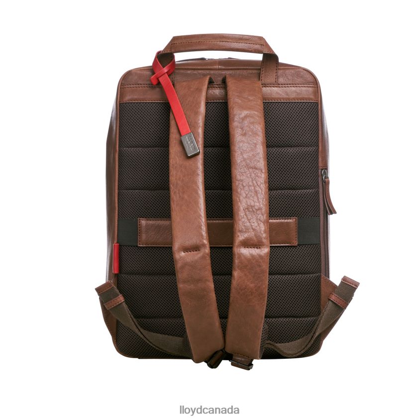 Backpack LLOYD Men brown R084ZF651 Accessories