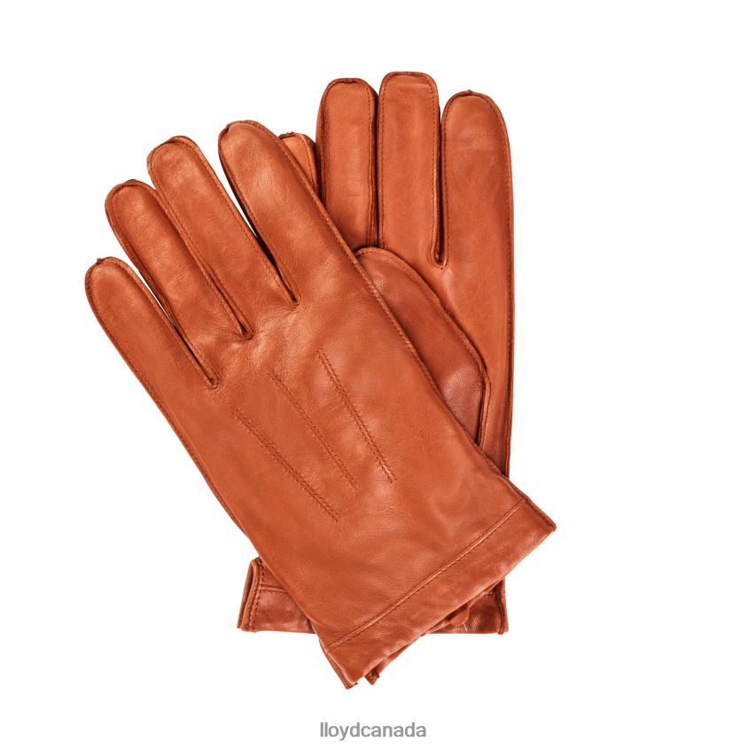 leather GLOVES LLOYD Men brown R084ZF706 Accessories