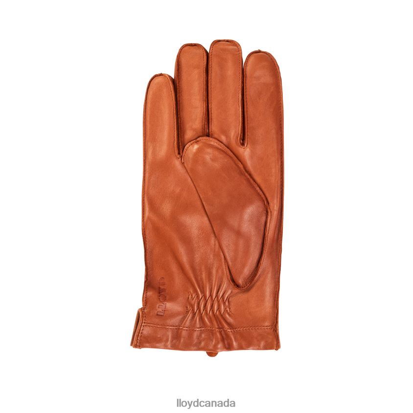 leather GLOVES LLOYD Men brown R084ZF706 Accessories