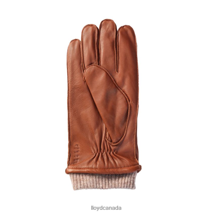 leather GLOVES LLOYD Men brown R084ZF709 Accessories