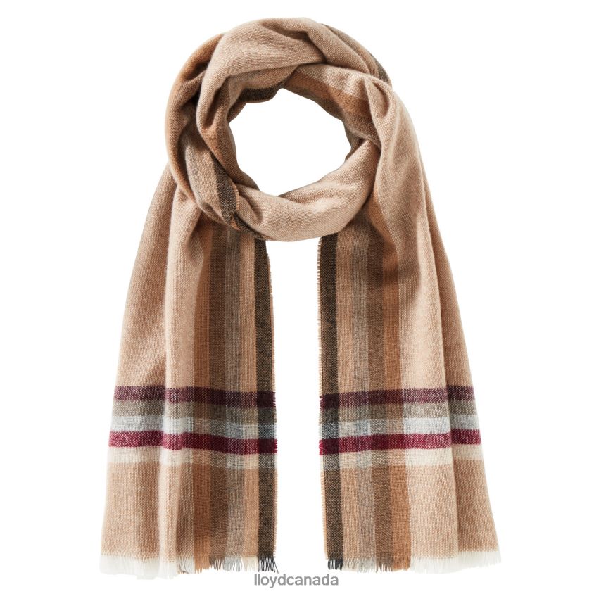 CASHMERE SCALE LLOYD Men beige R084ZF701 Accessories