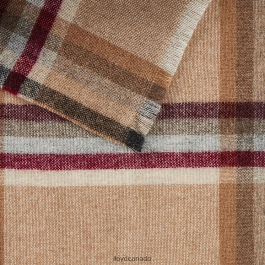 CASHMERE SCALE LLOYD Men beige R084ZF701 Accessories