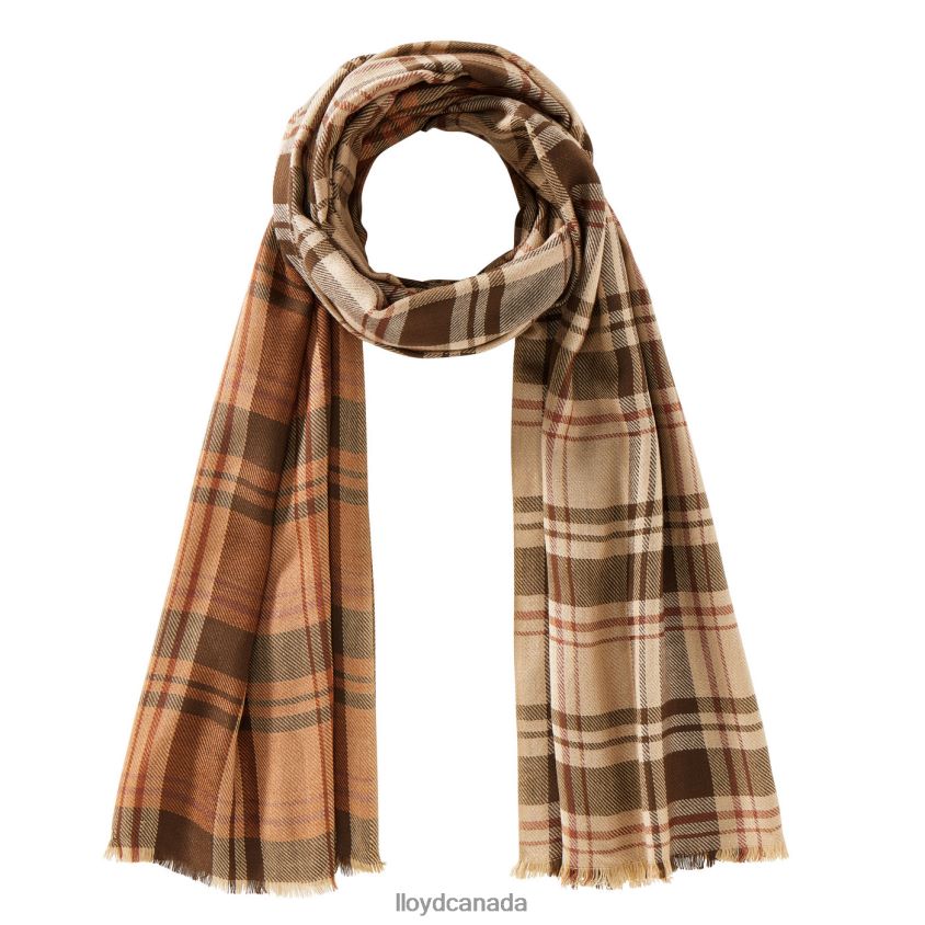 VISCOSE SCALE LLOYD Men brown R084ZF692 Accessories