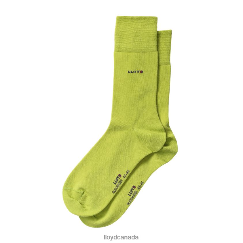 ALEXANDER LLOYD Men green R084ZF686 Accessories