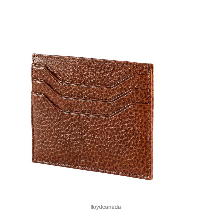 CARDHOLDER LLOYD Men brown R084ZF657 Accessories