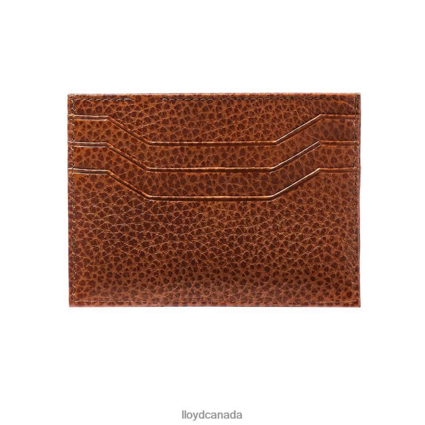 CARDHOLDER LLOYD Men brown R084ZF657 Accessories