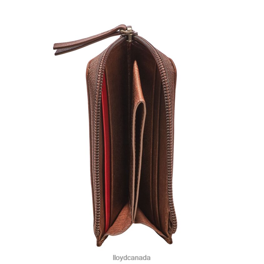 CARDHOLDER LLOYD Men brown R084ZF660 Accessories