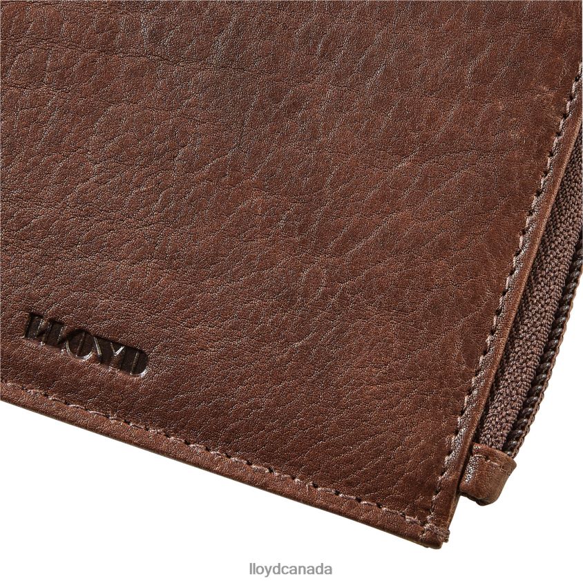 CARDHOLDER LLOYD Men brown R084ZF660 Accessories