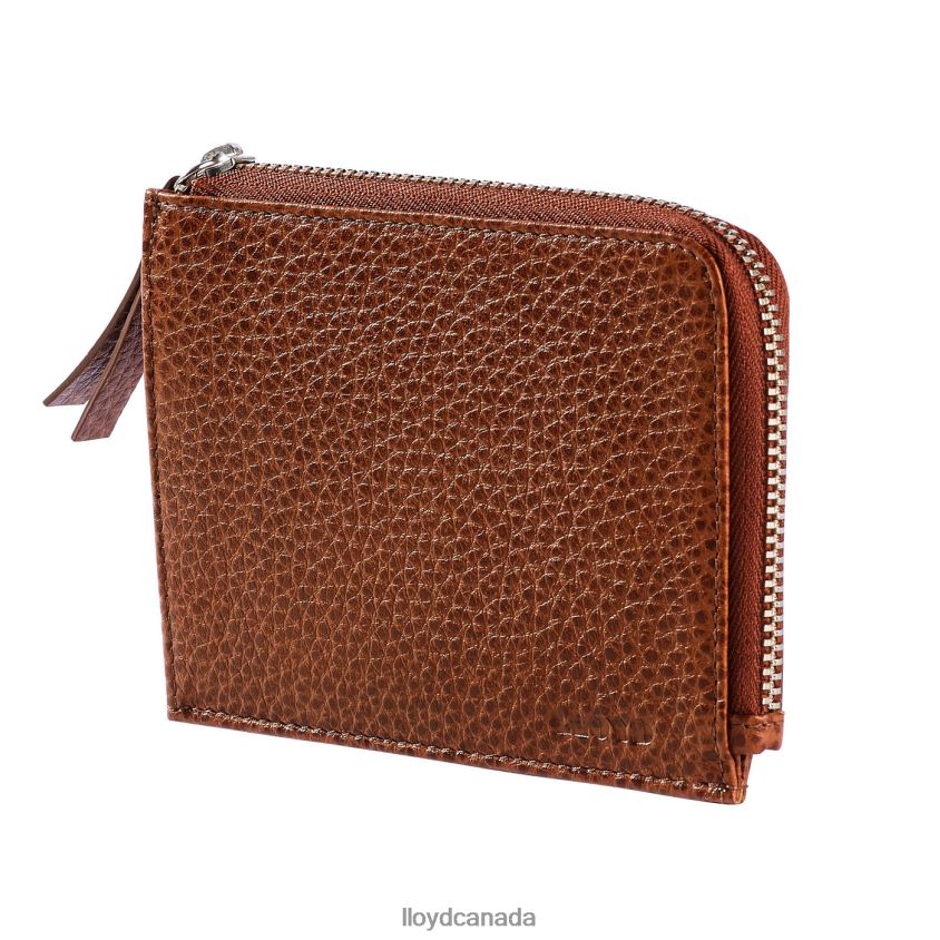CARDHOLDER LLOYD Men brown R084ZF665 Accessories