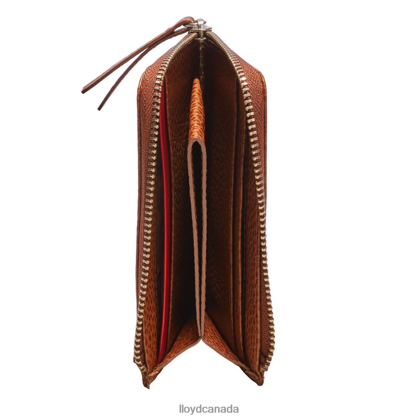 CARDHOLDER LLOYD Men brown R084ZF665 Accessories