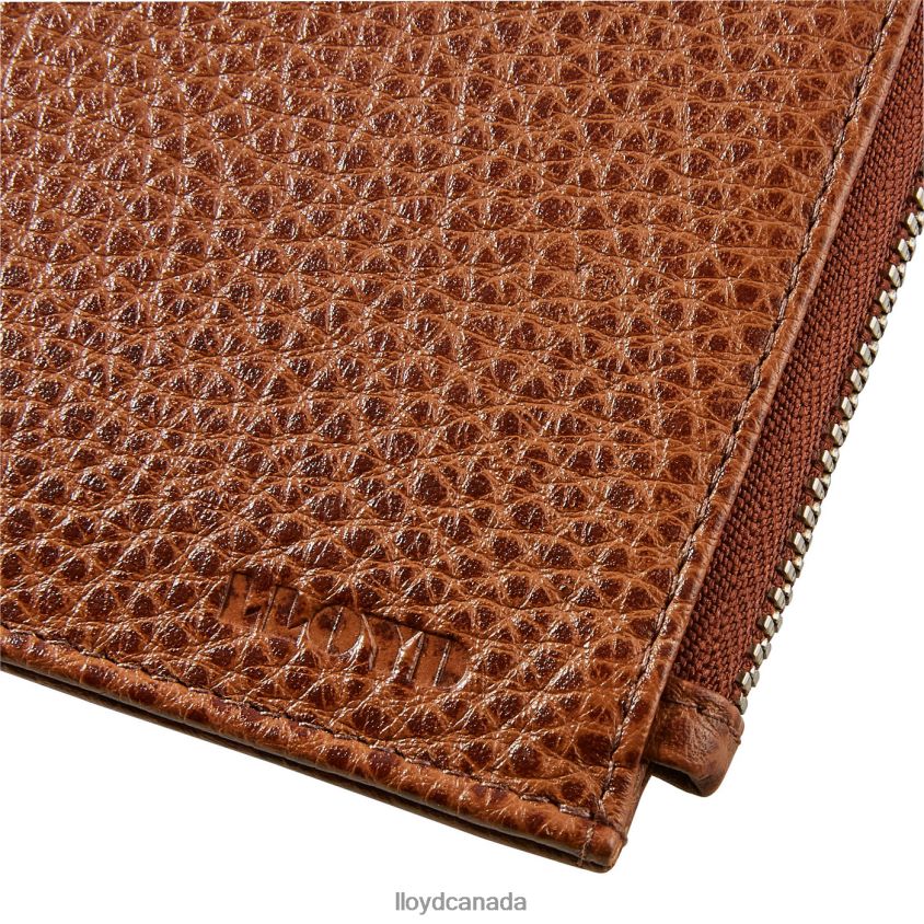CARDHOLDER LLOYD Men brown R084ZF665 Accessories