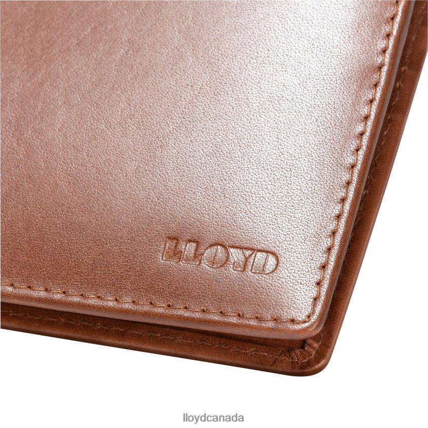 CARD POCKET LLOYD Men brown R084ZF671 Accessories