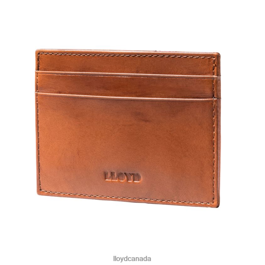 CREDIT CARD CASE LLOYD Men brown R084ZF661 Accessories