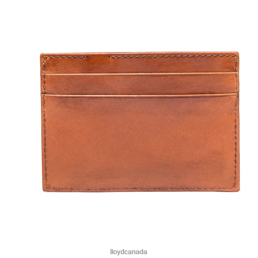 CREDIT CARD CASE LLOYD Men brown R084ZF661 Accessories