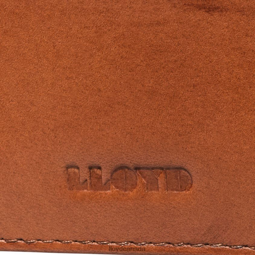 CREDIT CARD CASE LLOYD Men brown R084ZF661 Accessories