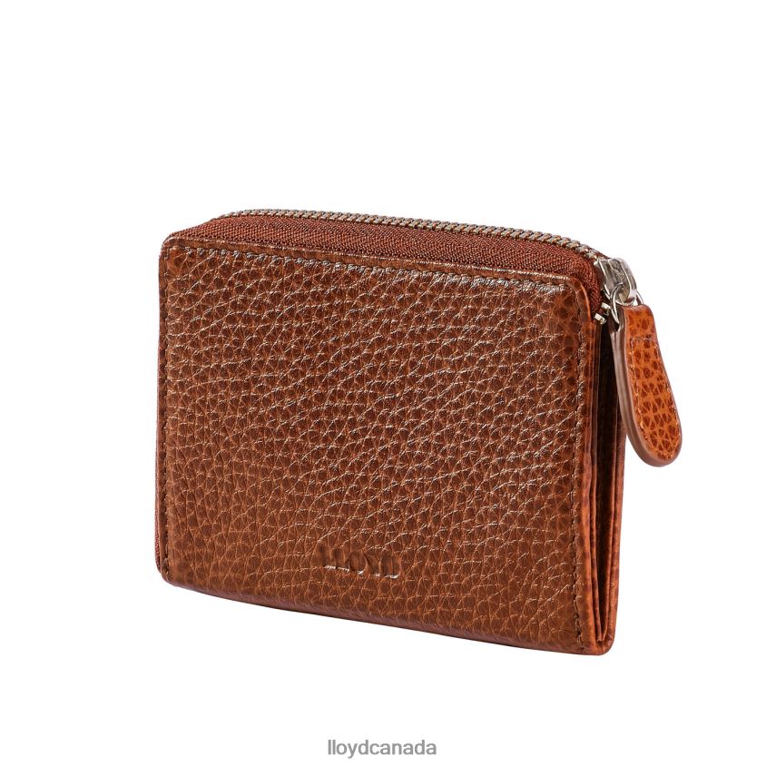 KEYCASE LLOYD Men brown R084ZF658 Accessories
