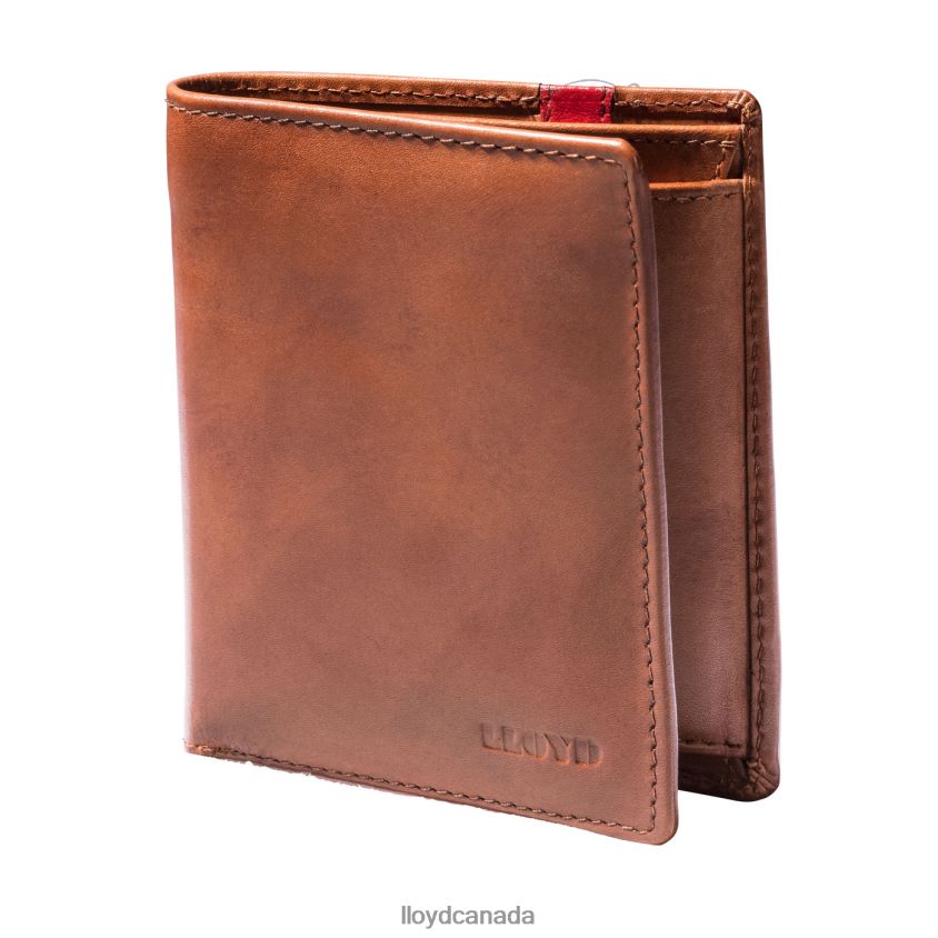 POCKET LLOYD Men brown R084ZF656 Accessories
