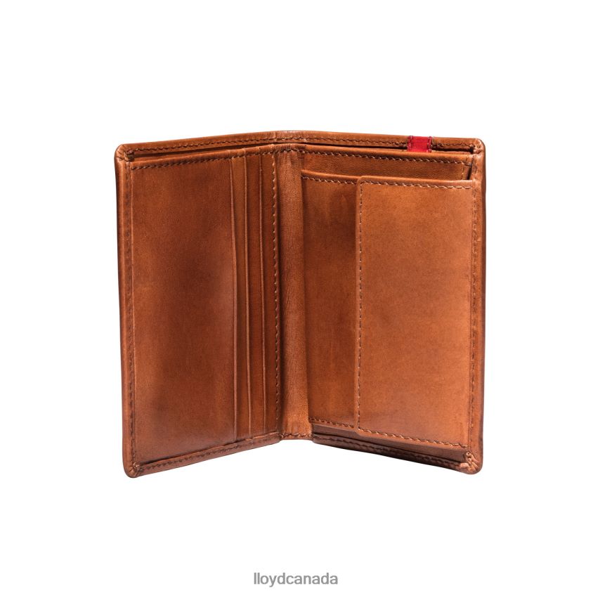 POCKET LLOYD Men brown R084ZF656 Accessories