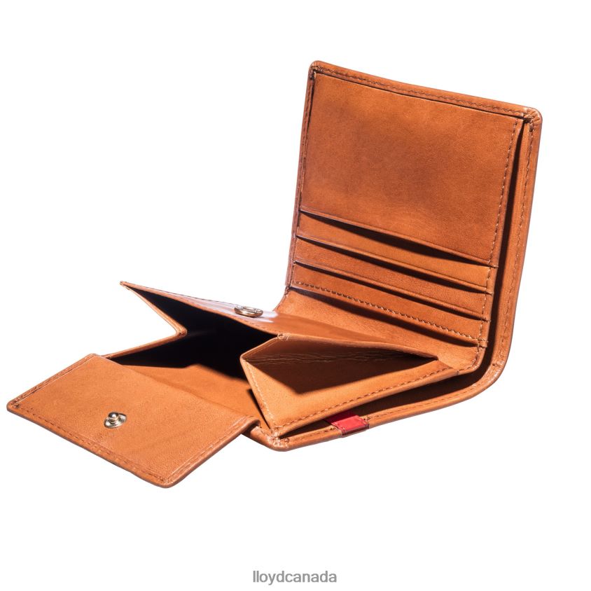 POCKET LLOYD Men brown R084ZF656 Accessories