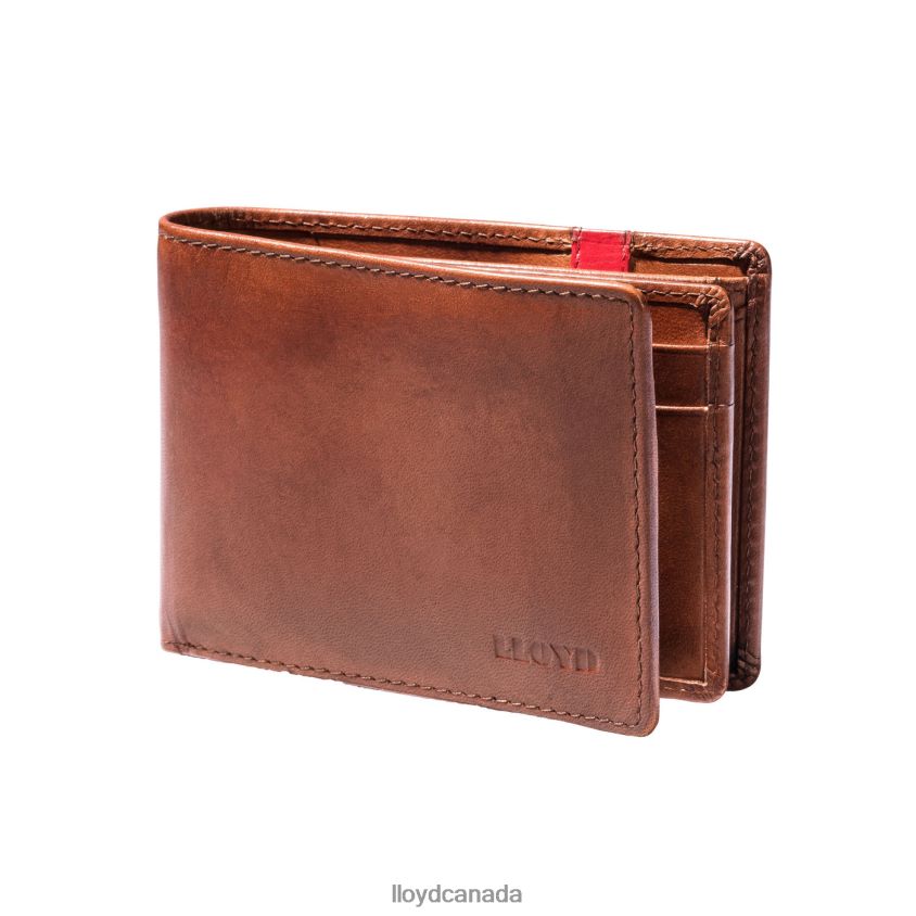 POCKET LLOYD Men brown R084ZF677 Accessories