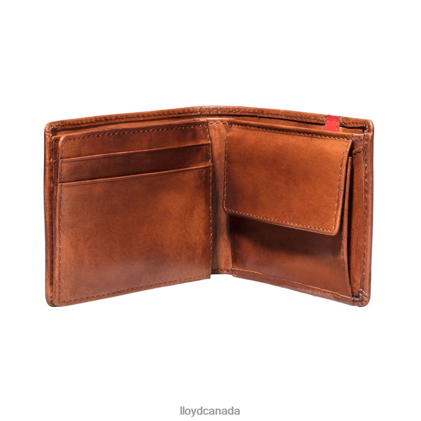 POCKET LLOYD Men brown R084ZF677 Accessories