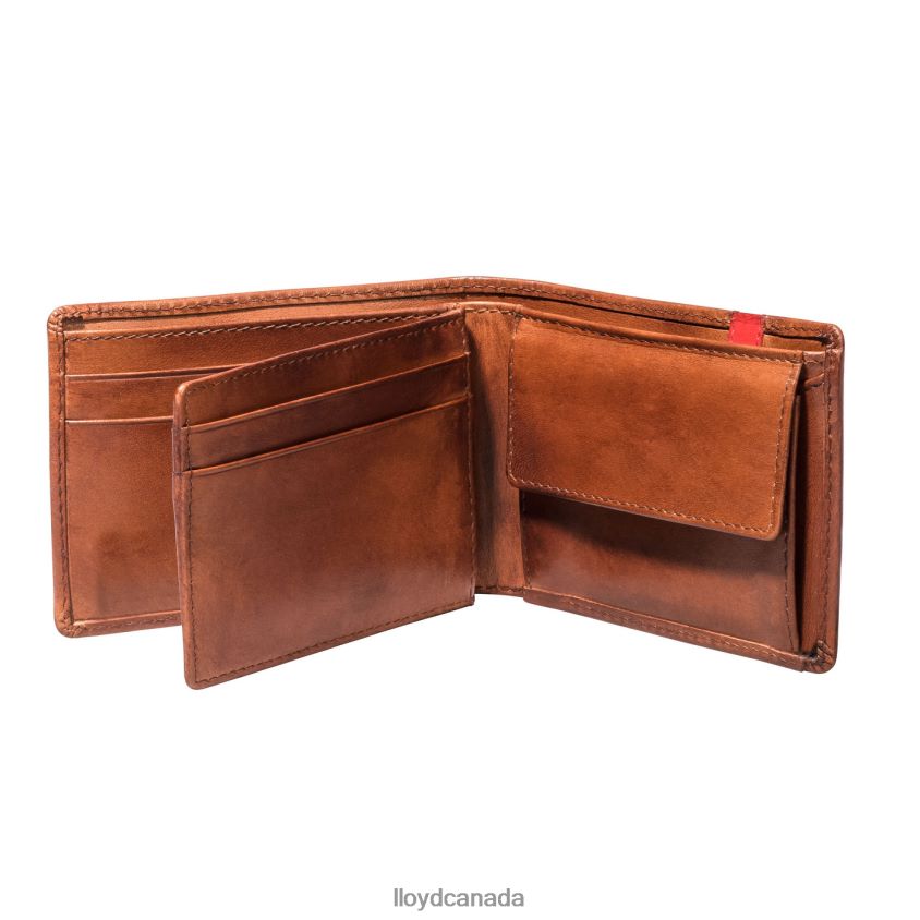 POCKET LLOYD Men brown R084ZF677 Accessories