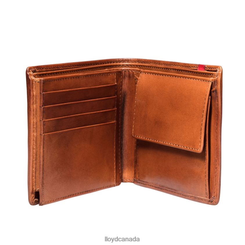 POCKET LLOYD Men brown R084ZF680 Accessories