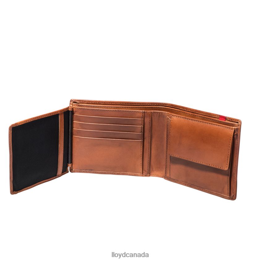 POCKET LLOYD Men brown R084ZF680 Accessories