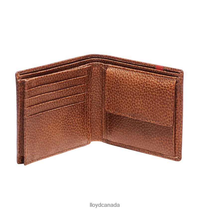 WALLET LLOYD Men brown R084ZF669 Accessories