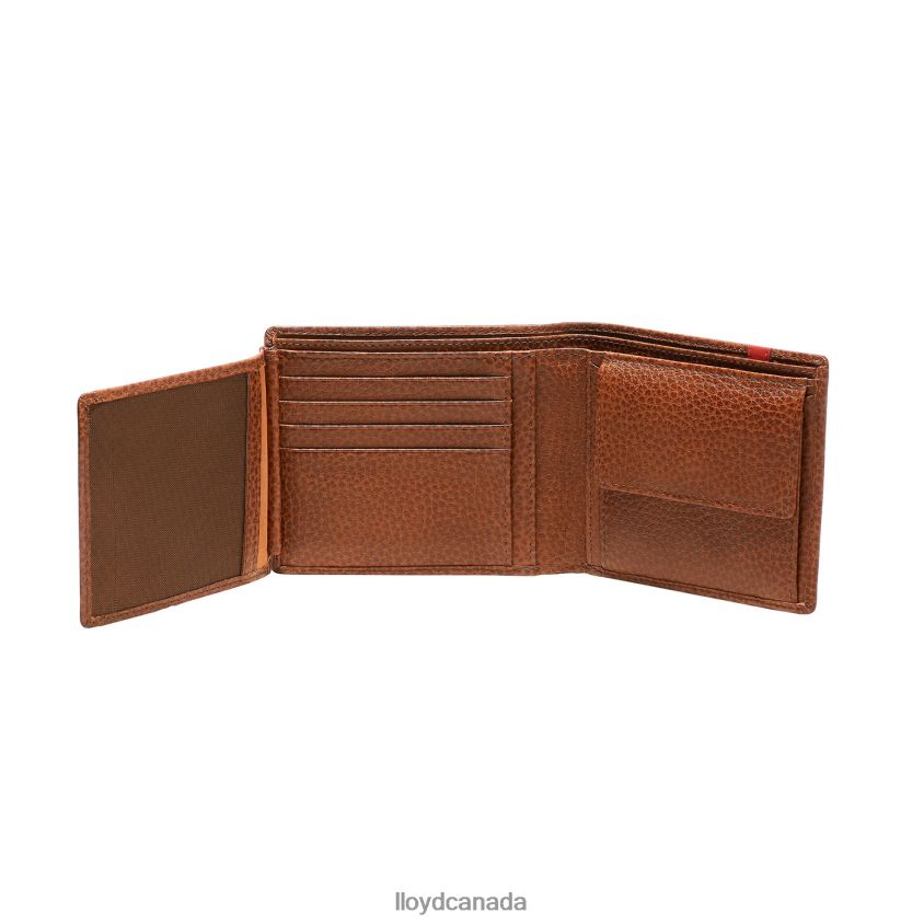 WALLET LLOYD Men brown R084ZF669 Accessories
