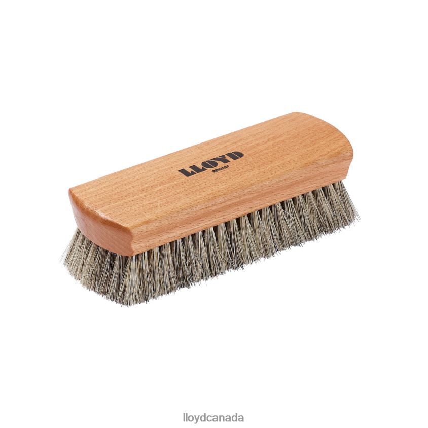 SHOE BRUSH LLOYD Men combined R084ZF750 Care & Equipment
