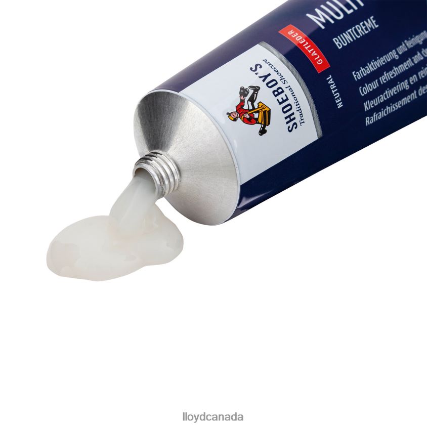 SHOE CREAM multicolour LLOYD Men combined R084ZF727 Care & Equipment