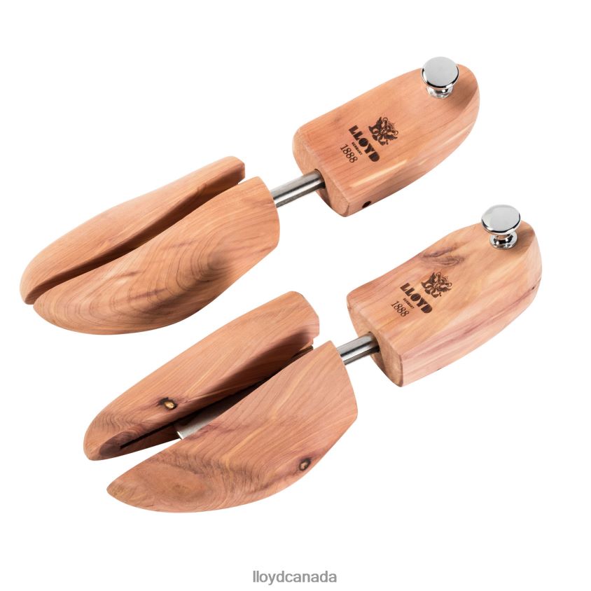 SHOE TREE CEDAR WOOD LLOYD Men beige R084ZF739 Care & Equipment