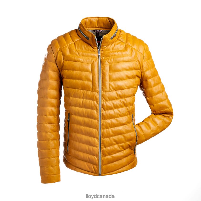 MALIO LLOYD Men yellow R084ZF635 Clothing