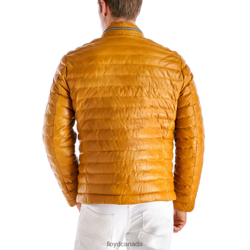 MALIO LLOYD Men yellow R084ZF635 Clothing