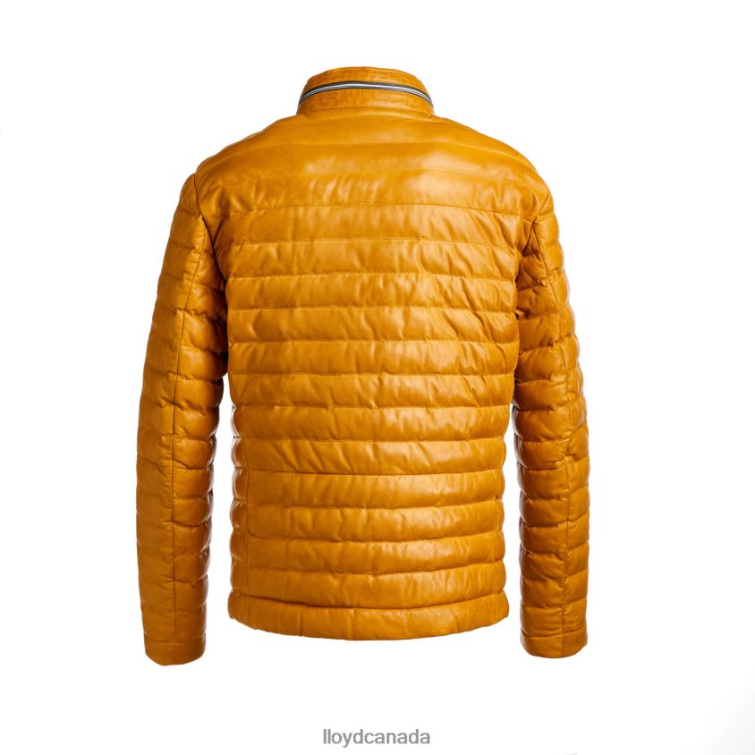 MALIO LLOYD Men yellow R084ZF635 Clothing