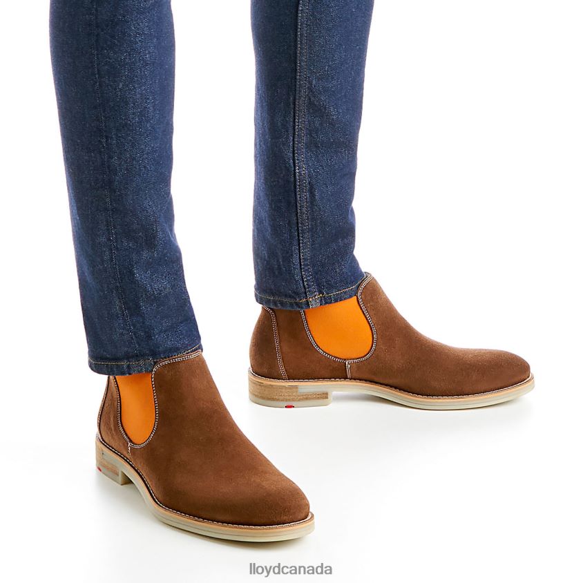 DALBY LLOYD Men brown R084ZF32 Shoes