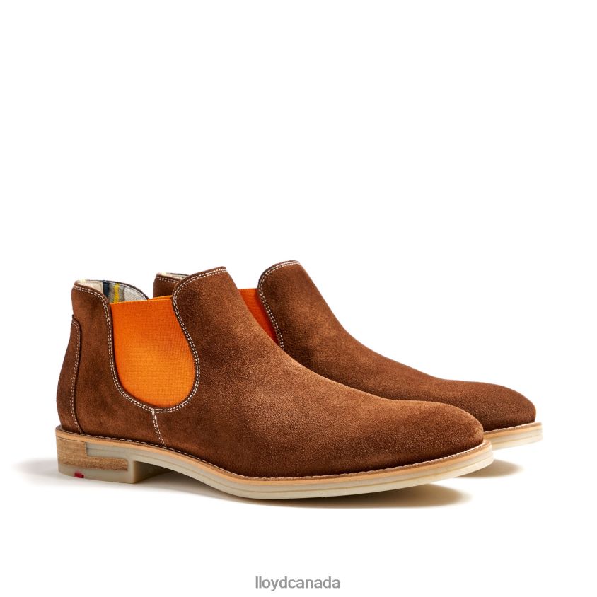 DALBY LLOYD Men brown R084ZF32 Shoes