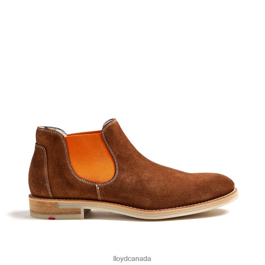 DALBY LLOYD Men brown R084ZF32 Shoes