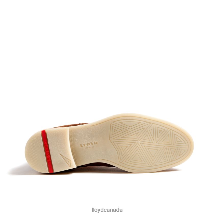 DALBY LLOYD Men brown R084ZF32 Shoes