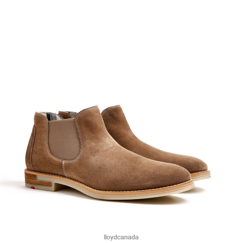 DALBY LLOYD Men brown R084ZF456 Shoes