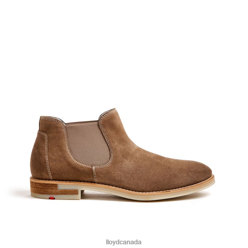DALBY LLOYD Men brown R084ZF456 Shoes