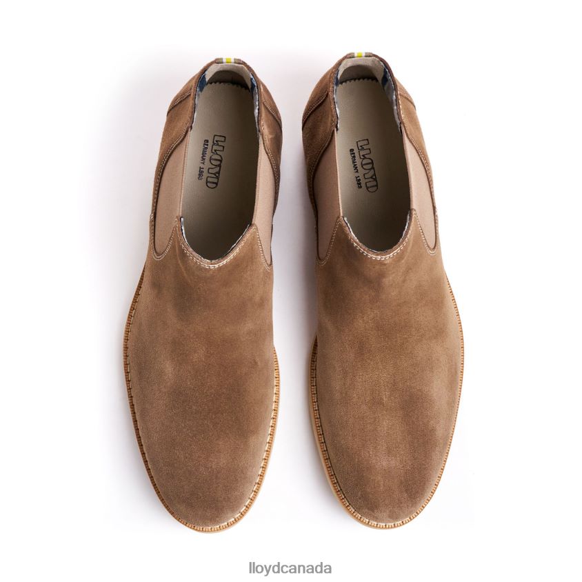 DALBY LLOYD Men brown R084ZF456 Shoes